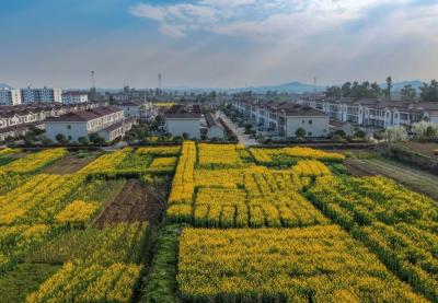 让人上头的阳光和春色都在文旅相册里？赶紧囤住了！