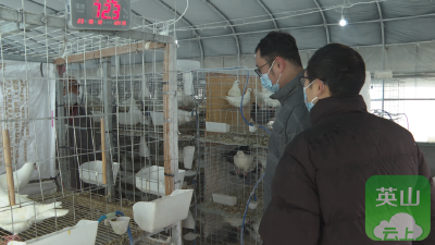 “山货”如何变“尖货”？湖北大学用十八年给出“英山答案”