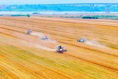 改革攻坚在一线 | 黄冈“一县一品”绘就农业现代化新画卷