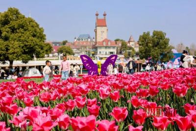 今天武汉人山人海，外省游客：“几乎年年都来，这里太美了！”
