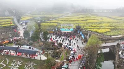 太火爆！春日最美打开方式，藏在刘河这场盛会里