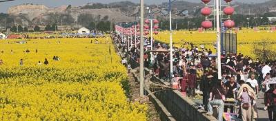 花海未启人先涌，上桂村靠什么接住这波“泼天流量”？