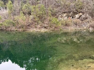 市区县联动，送“鲵”归家