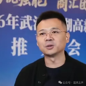 团风：大桥通车“加速跑” 跨江招商“逐光行”