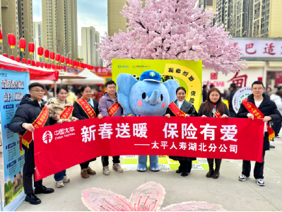 太平人寿湖北分公司联合社区开展  “新春送暖 保险有爱”金融教育宣传活动