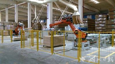 抓项目 优服务|蕲春全力冲刺“开门红”