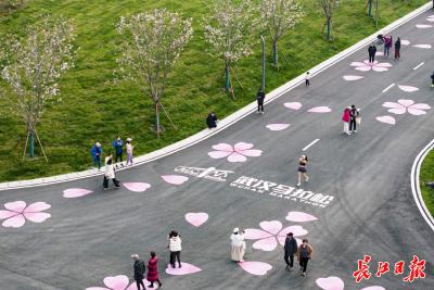 汉马之变：一座城的奔跑与跨越