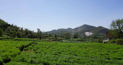 项目落地生金 资源盘活富民——漕河镇黄厂村实干笃行拓启振兴新篇