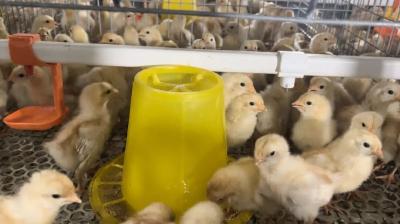 从北京CBD到家乡山坳，蕲春90后姑娘“飒翻了”