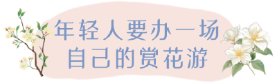 春分日的高潮村：一朵花，两次“绽放”