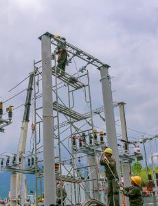 株林供电所：开展通道专项清理保障供电通道安全