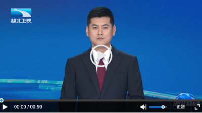 湖北代表团审议关于政府工作报告的决议草案等