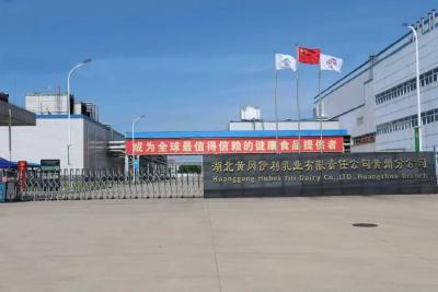 伊利酸奶黄冈工厂三年连跨三个量级—— 成长的黄冈“秘笈”，在逆境中炼就