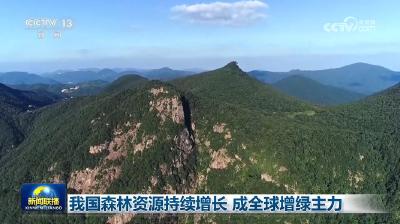 我国森林资源持续增长 成全球增绿主力