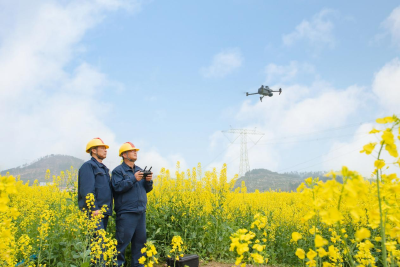 黄冈供电：严防春季山火   守护电网大动脉