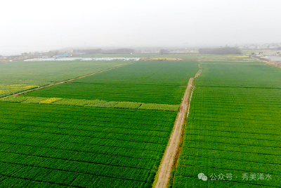 田间开课堂 农资送到家
