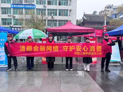 中国人寿罗田县支公司开展“3·15”金融消保教育宣传活动