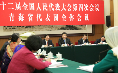 习近平总书记同代表委员共商民族团结进步事业的故事