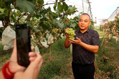 我市深耕素质提升激活发展新动能