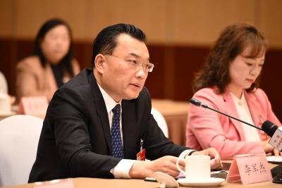 全国人大代表、黄冈市委书记李军杰：蕲艾品牌价值居全国中药材地标品牌榜首