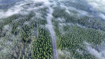 两会新华鲜报丨“典”亮人与自然和谐之路！中国第二部法典将诞生