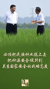 习语丨一粒小小的种子，何以让总书记如此牵挂？