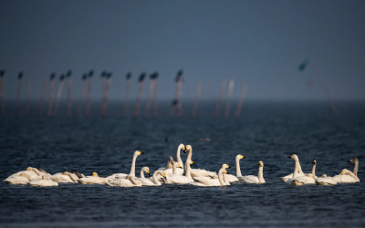 3月27日 早！黄冈 | 全省唯一！她参加全国巡讲 ◆ 这条路交通管制→