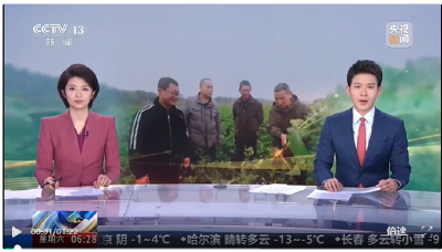 央视聚焦黄梅：智慧育苗忙 科技助春耕