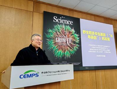 我国科学家首次发现水稻多年生“长寿基因” 
