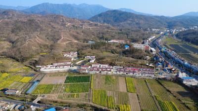 麻城40载光影碟变：从银幕战场到幸福家园的奋进答卷