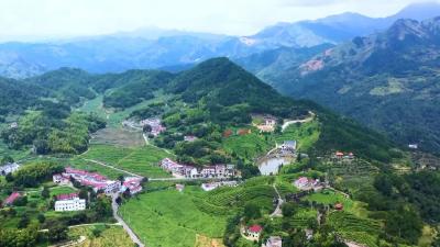 蕲春这座偏远山村，靠啥蝶变成4A景区？