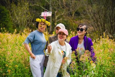 “慧”赏花带来新体验