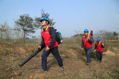 国网红安县供电公司：严防山火筑牢主网安全防线