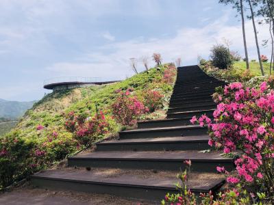 五条旅游线，一颗振兴心——导游晏扬帆的朋友圈里，藏着大别山振兴的密码