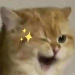 酣畅淋漓！刚刚对战常德，是“以赛代练”最好的答案