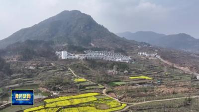 民盟中央课题组来我市调研