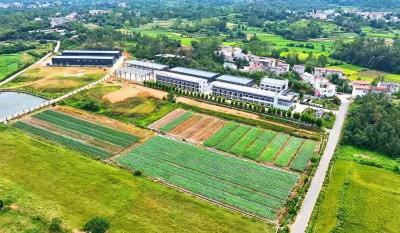 麻城市夫子河镇：  擦亮“鱼面小镇”金名片 奏响“三产融合”新乐章