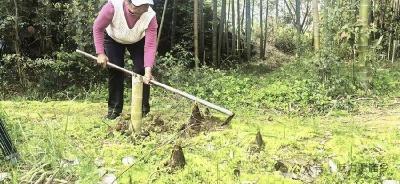 走！去团风贾庙，赴一场大山里的“春宴”