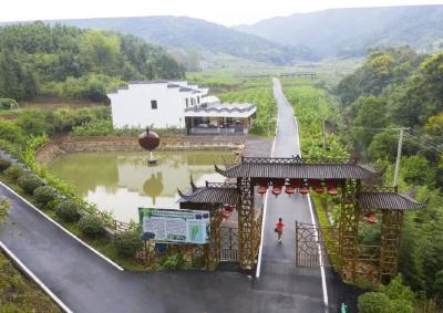 从偏远山村到国字号标杆，漕河这个村凭什么？