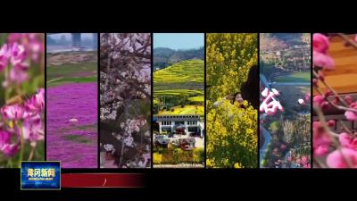 花漾黄冈｜百万网友“云”端赏花 黄冈市融媒体中心直播带火春日花海