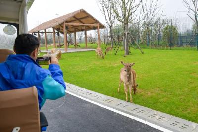 从“治理”到“治愈”——鄂州“精致城市”的跃升之路②