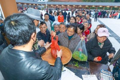 绿叶跨越山海 侗乡茶香天下——恩施市芭蕉侗族乡全力推进“名优茶出省、大宗茶出海”战略