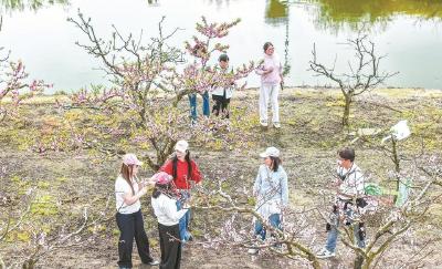 春满田园入画来