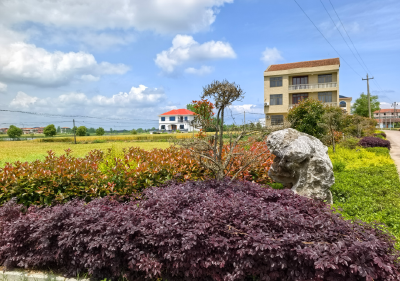 蔡山镇竹林村：整治人居环境 绘就和美乡村新图景