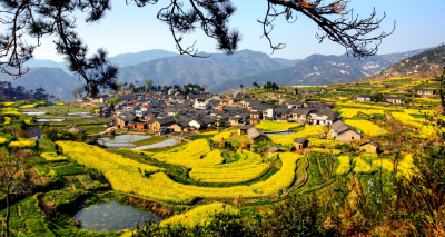 山居暖桑榆——小漆园村432位老人养老不出塆