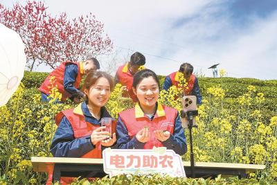 英山供电公司党员志愿者直播助农