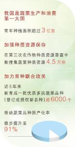 瞧瞧菜篮子里的新变化