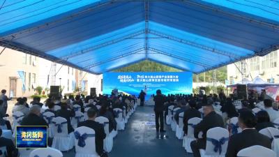 大别山茯苓交易市场开市