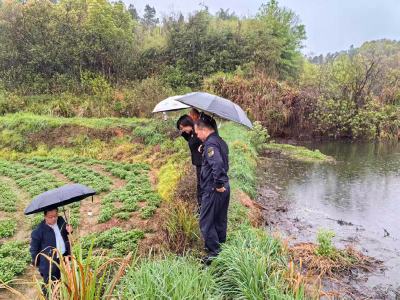 蕲春县开展畜禽养殖专项执法检查 筑牢生态环境防护网