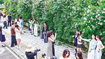 花墙成了“女儿墙”